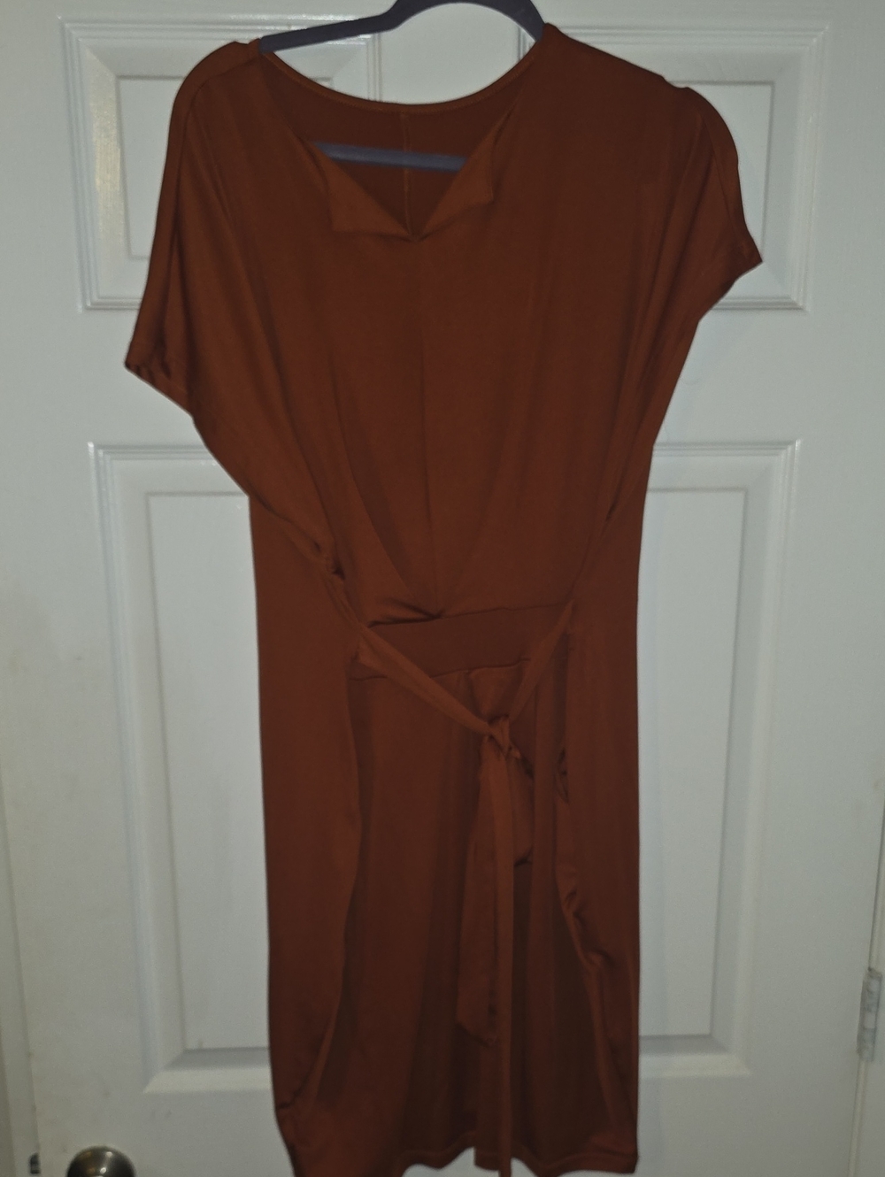 Tie-Waist Mini Dress in Rust Brown